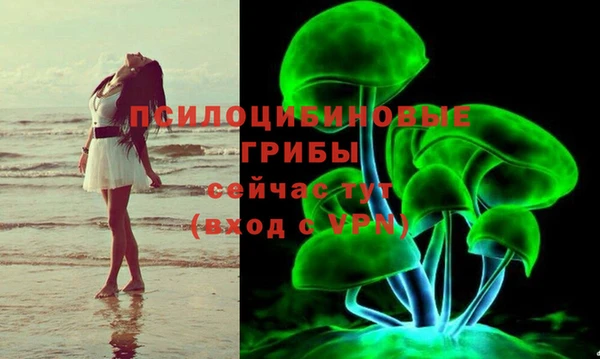 бошки Алексеевка