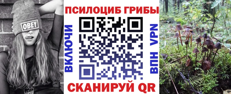 сколько стоит  Белореченск  Псилоцибиновые грибы GOLDEN TEACHER 
